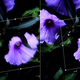 Illustration for article titled Photoshops Genius Shake Reduction Tool Fixes Blurry Shots Like Magic